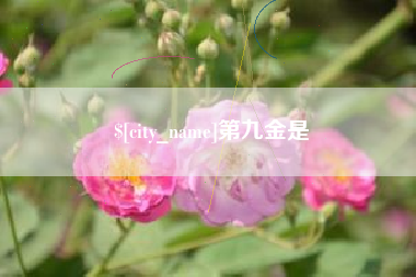 灌南第九金是