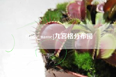 灌南九宫格分布图