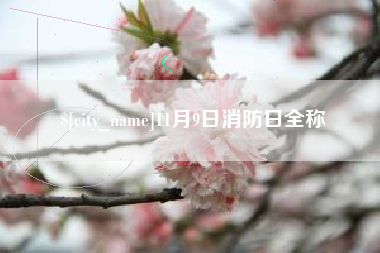 灌南11月9日消防日全称