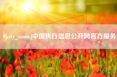 灌南中国执行信息公开网官方服务