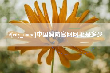 灌南中国消防官网网址是多少