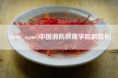 灌南中国消防救援学院副院长