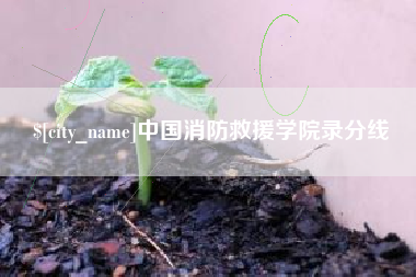 灌南中国消防救援学院录分线