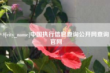 灌南中国执行信息查询公开网查询官网