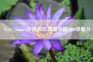 灌南中国消防救援学院2020录取分
