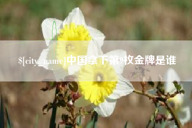 灌南中国拿下第9枚金牌是谁