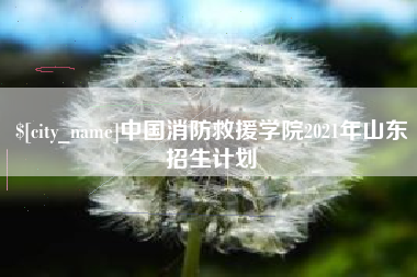 灌南中国消防救援学院2021年山东招生计划