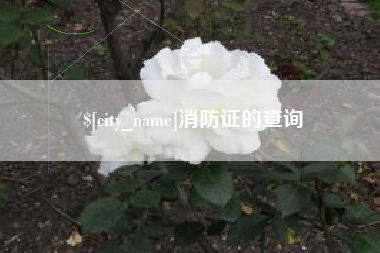 灌南消防证的查询