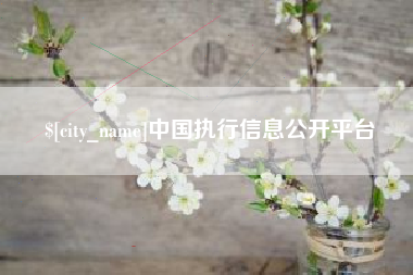 灌南中国执行信息公开平台