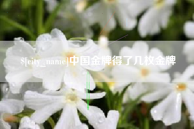 灌南中国金牌得了几枚金牌