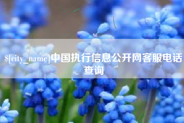 灌南中国执行信息公开网客服电话查询