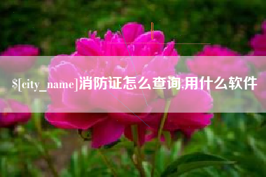 灌南消防证怎么查询,用什么软件