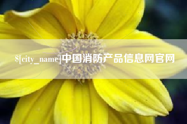 灌南中国消防产品信息网官网