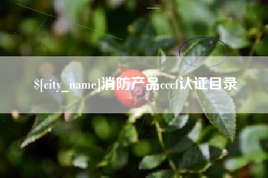 灌南消防产品cccf认证目录