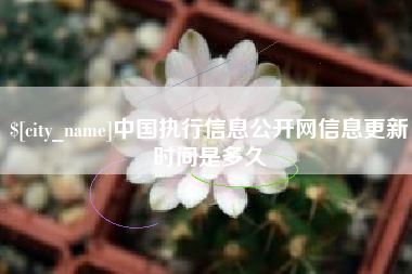 灌南中国执行信息公开网信息更新时间是多久