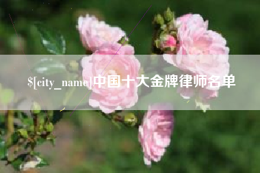 灌南中国十大金牌律师名单