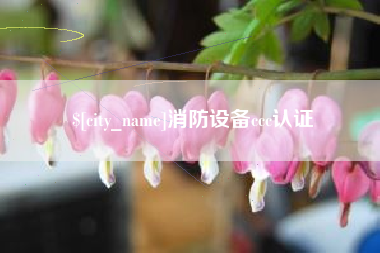 灌南消防设备ccc认证
