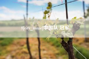 灌南中国队 冠军