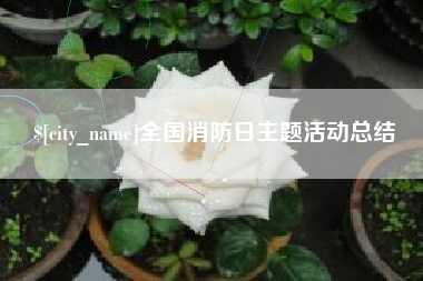 灌南全国消防日主题活动总结