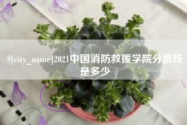 灌南2021中国消防救援学院分数线是多少