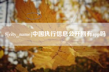 灌南中国执行信息公开网有app吗