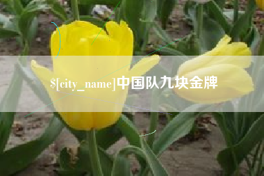 灌南中国队九块金牌