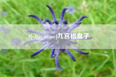 灌南九宫格盘子