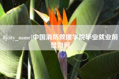 灌南中国消防救援学院毕业就业前景如何