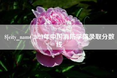 灌南2021年中国消防学院录取分数线