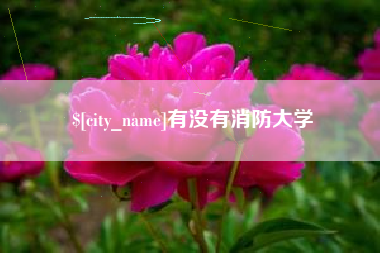 灌南有没有消防大学