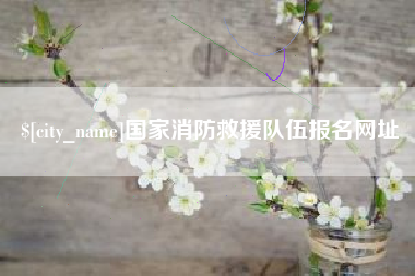 灌南国家消防救援队伍报名网址
