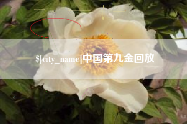 灌南中国第九金回放