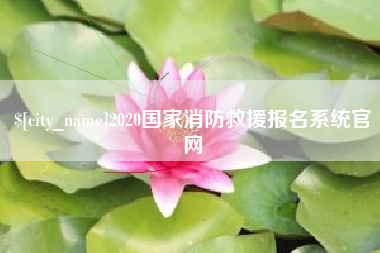 灌南2020国家消防救援报名系统官网