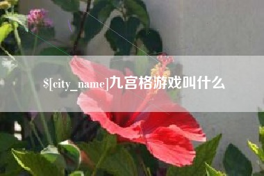 灌南九宫格游戏叫什么