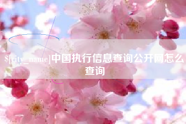 灌南中国执行信息查询公开网怎么查询