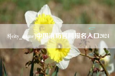 灌南中国消防官网报名入口2024