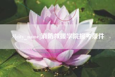 灌南消防救援学院报考条件