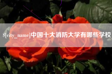 灌南中国十大消防大学有哪些学校