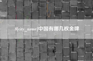 灌南中国有哪几枚金牌