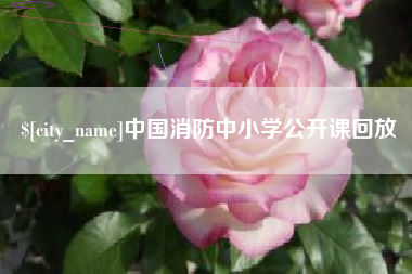 灌南中国消防中小学公开课回放