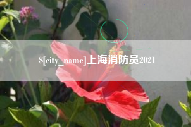 灌南上海消防员2021