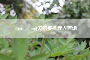 灌南失信被执行人杳询