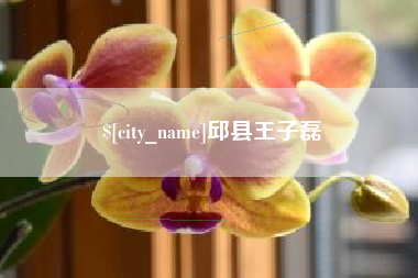 灌南邱县王子磊