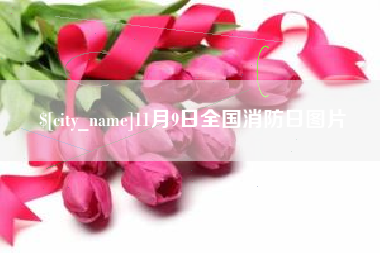 灌南11月9日全国消防日图片