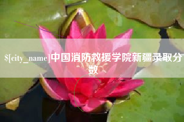 灌南中国消防救援学院新疆录取分数