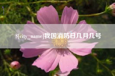 灌南我国消防日几月几号