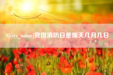 灌南我国消防日是哪天几月几日