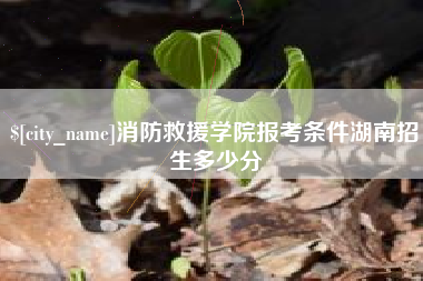 灌南消防救援学院报考条件湖南招生多少分