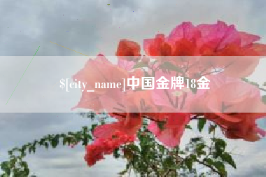 灌南中国金牌18金