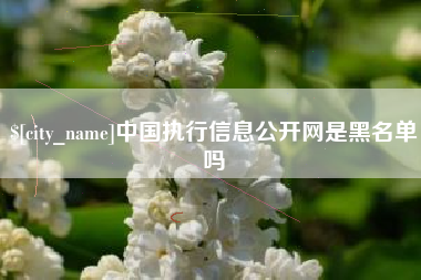 灌南中国执行信息公开网是黑名单吗